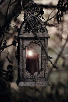 a candle in a lantern hanging from a tree with the words i miss you more than you can imagine