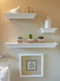 a bathroom with two white shelves above the toilet and plants on the shelf over the sink