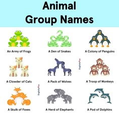 an animal group names chart with different animals