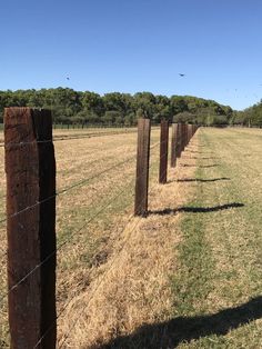 a row of wooden posts in the middle of a field