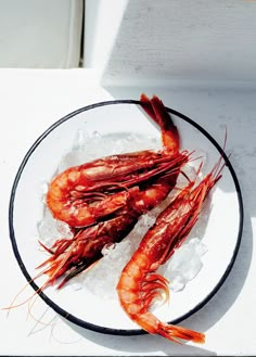 two cooked shrimp are sitting on ice in a bowl