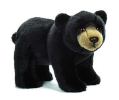 a black bear stuffed animal on a white background