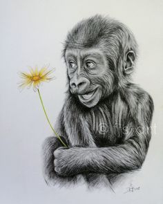 a drawing of a monkey holding a flower