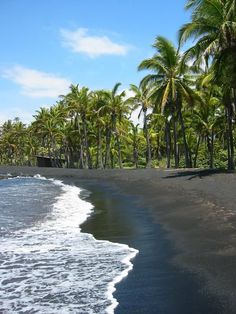 the black sand beach is lined with palm trees