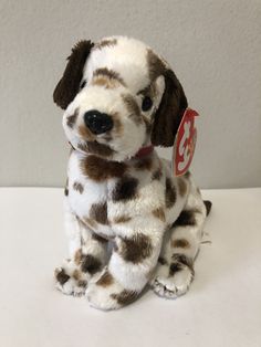 a brown and white dog sitting on top of a table next to a red tag