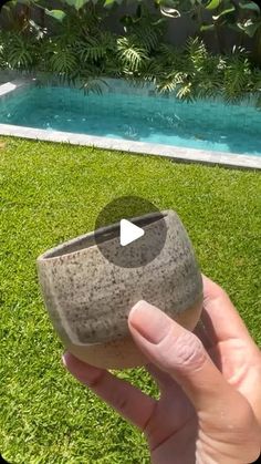 someone is holding up a rock in front of a swimming pool with grass and trees