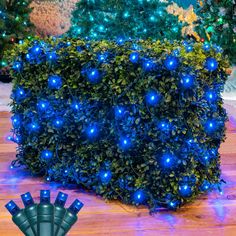 a bush with blue lights around it on the ground