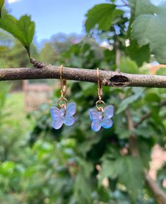 Add a touch of whimsy with these adorable butterfly earrings! These earrings are the perfect addition to any outfit and make a great gift. Each piece is made with love and care and I thank you for your interest in my Cute Butterfly-shaped Jewelry For Parties, Cute Butterfly Jewelry For Pierced Ears, Whimsical Butterfly Earrings With Ear Wire, Casual Butterfly Charm Jewelry As Gift, Casual Butterfly Charm Jewelry For Gift, Whimsical Butterfly Charm Earrings For Gift, Butterfly Charm Drop Earrings As Gift, Butterfly Charm Drop Earrings For Gift, Purple Butterfly Earrings For Gift