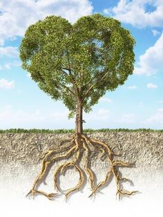 a tree with its roots in the shape of a heart on a background of blue sky and clouds