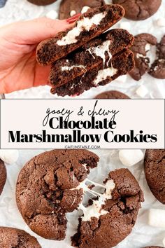 chocolate marshmallow cookies with white frosting on top and in the background, there is a bite taken out of one cookie