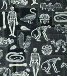 an image of skeletons and animals in black and white colors on a dark background,