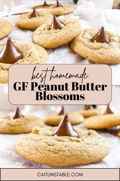 These gluten free peanut butter blossom cookies are homemade, soft and classic! Made with gluten free king arthur flour, eggs, brown sugar, just bake and top with a hersheys kiss. They're the perfect treats for any holiday cookie exchange, Thanksgiving dinner and Christmas party. Find these gluten free peanut butter blossom cookies and more homemade cookie recipes on the blog. Peanut Butter Hershey Kiss Cookies, Best Homemade Cookies, Homemade Cookie Recipes, Kiss Cookie Recipe, Gluten Free Peanut Butter Cookies