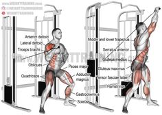 an image of a man doing squats on the side of a gym equipment rack