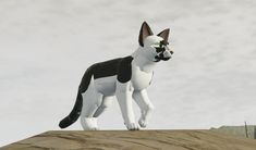 black & white wcue morph 🦓 in 2024 | Warrior cats, Warrior cat oc ... image.