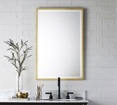 a bathroom sink with a mirror above it and a plant in the corner next to it