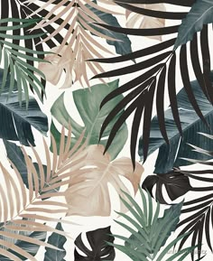 an image of a tropical print with palm leaves