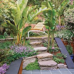 an outdoor garden with stone steps and plants