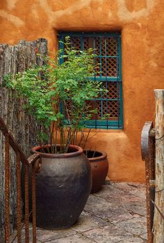 a potted plant sitting next to a window on top of a stone floor in front of a building