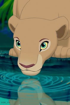 the lion is swimming in the water with his head above the water's surface