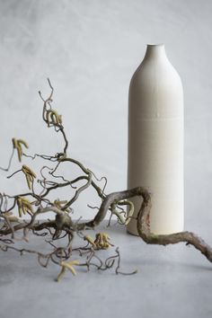 a white vase sitting on top of a table next to a twig tree branch