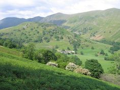 a lush green hillside covered in lots of trees