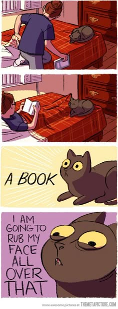 the comic strip shows how cats are able to sleep in their own bed and what they're doing