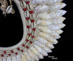 A beautiful handmade necklace of white woven Rope, decorated with three bands of white curled Shells. The inner band of the necklace is decorated with two lines of cream Cowrie Shells and red painted round Wood beads. The white curled Shells are between 1.5 inches, and 2.1 inches in drop length. The maximum inner width of the necklace is 5.5 inches, and the maximum outer width is 16 inches. The necklace has a drop length, from the top, of 13.5 inches, and is finished by two groups of eight cream White Handmade Strand Jewelry, Handmade White Strand Jewelry, White Bohemian Shell Necklace For Festival, Bohemian White Shell Necklace For Festival, White Bohemian Shell Strand Necklace, Bohemian White Shell Strand Necklace, Handmade White Shell Necklace, Handmade Adjustable White Shell, White Bohemian Shell Strand