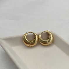 Upgrade your earring game with our Chubby Huggie Hoop earrings. These hoops are sure to make a statement with their timeless design and sturdy build. Perfect for everyday wear and a must-have for any jewelry collection. From sunrise to sundown, these will become a favorite! Details: 14kt gold plated over stainless steel or silver plated 15mm hoops Trendy Small Hoop Yellow Gold Earrings, Trendy Small Hoop Gold-plated Earrings, Trendy Small Hoop Gold Plated Earrings, Trendy Gold-tone Hoop Earrings Gift, Trendy Small Hoop Gold-tone Jewelry, Trendy Gold Plated Tarnish Resistant Hoop Earrings, Trendy Gold-tone Tarnish Resistant Hoop Earrings, Trendy Gold-tone Small Hoop Jewelry, Trendy Gold Tarnish-resistant Hoop Earrings