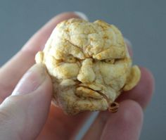 a hand holding a small piece of food in it's left hand, with the face of a creature made out of cauliflowers