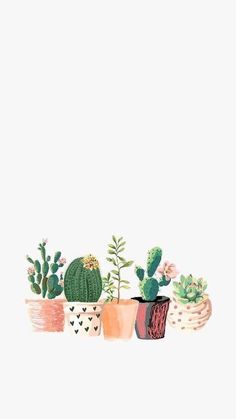 a row of potted plants sitting next to each other on top of a white wall