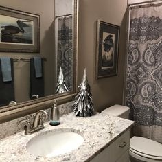 a white toilet sitting next to a bathroom sink under a mirror and a shower curtain