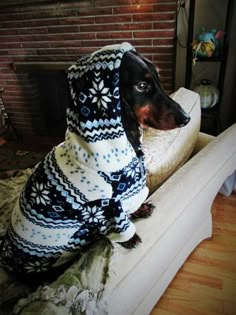 a dog wearing a sweater sitting on top of a couch