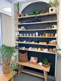 a room filled with lots of plants and shelves