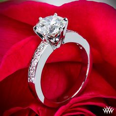 a close up of a rose with a diamond ring on it