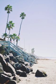 the beach is lined with rocks and palm trees