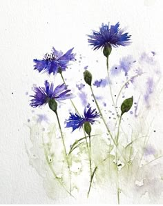 watercolor painting of blue flowers with green stems and purple petals, on white paper