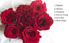 a bouquet of red roses sitting on top of a white sheet with the names of each flower