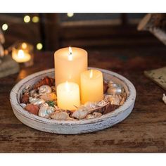 three lit candles in a bowl with seashells and shells on a table top