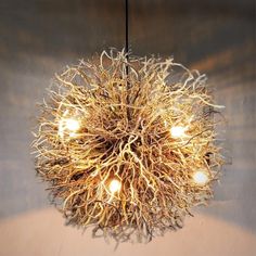 a light that is made out of branches and lights are hanging from it's ceiling