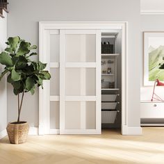 a potted plant sitting next to an open door in a room with white walls