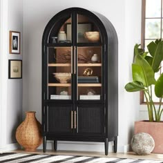 a black display cabinet with glass doors in a living room next to a potted plant