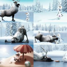 there are four different pictures of animals in the snow