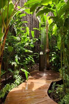 an outdoor shower surrounded by lush green plants