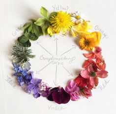 flowers arranged in a circle with the words congratulations written on it and an arrow pointing to them