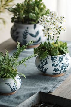 three potted plants sitting on top of a table next to each other and one planter with white flowers in it