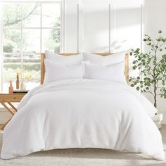 a bed with white comforters and pillows in a room next to a plant on the floor