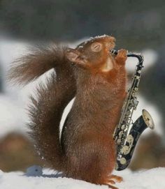 a red squirrel playing the saxophone in the snow with it's tail hanging down