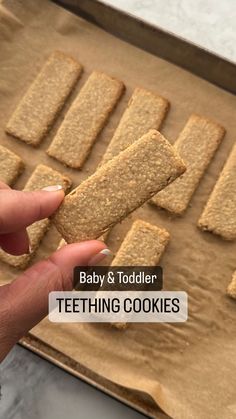 baby and toddler teeth cookies on a baking sheet with text overlay that reads, baby & toddler teeth cookies