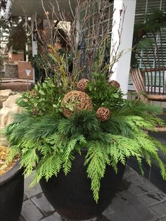 a large potted plant sitting on top of a stone floor next to a building