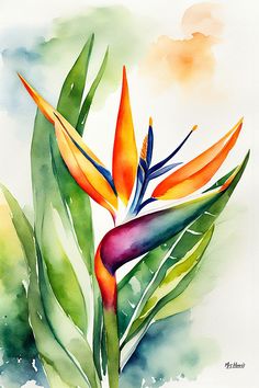 a watercolor painting of a bird of paradise plant with green leaves and orange flowers